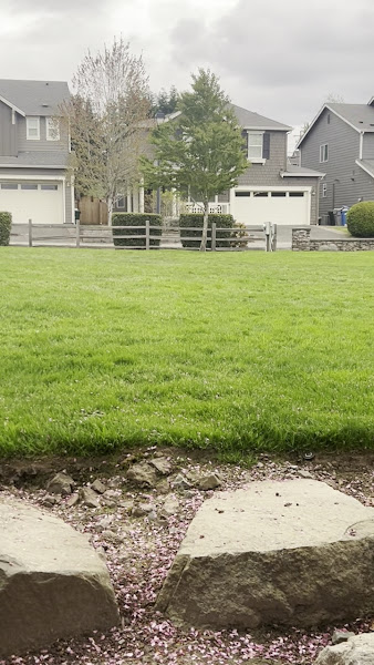 HIGHLANDS SENIOR HOME LLC 3