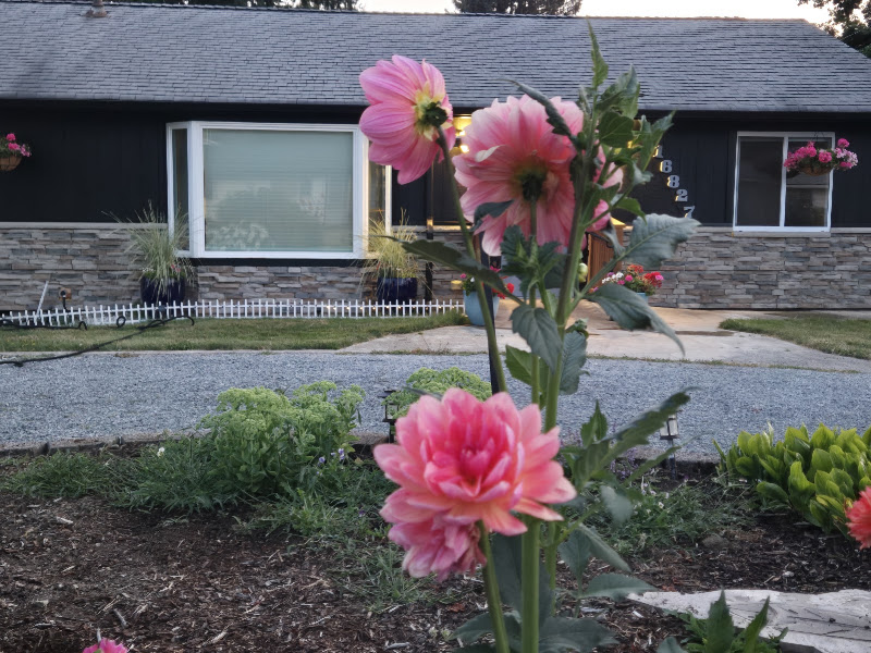 Adult Family Home 4