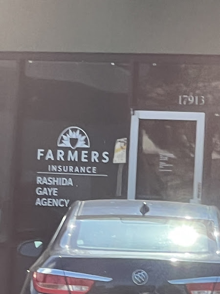 Farmers Insurance - Rashida Gaye 2