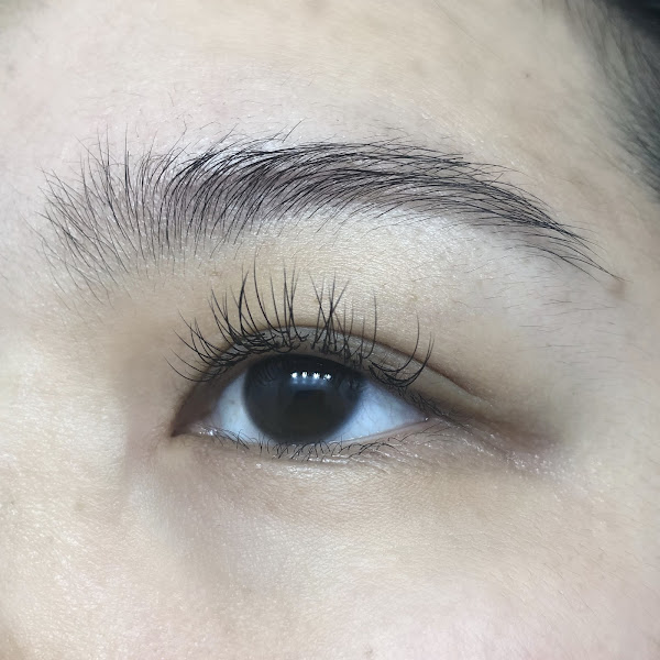 Terra Brazil Beauty | Lashes, Tan, Wax 4