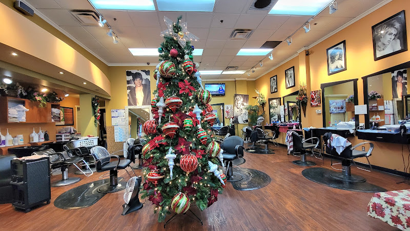 Lotus Hair Salon 3