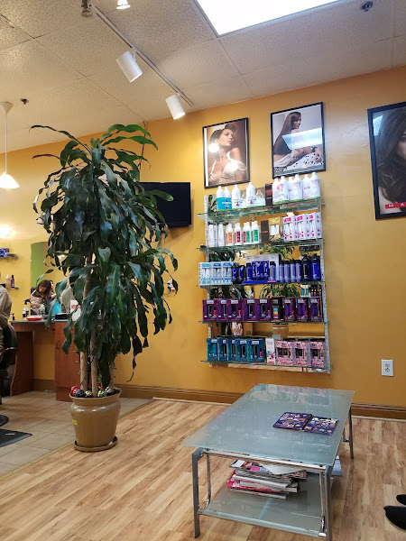 Kent East Hill Hair Salon 5