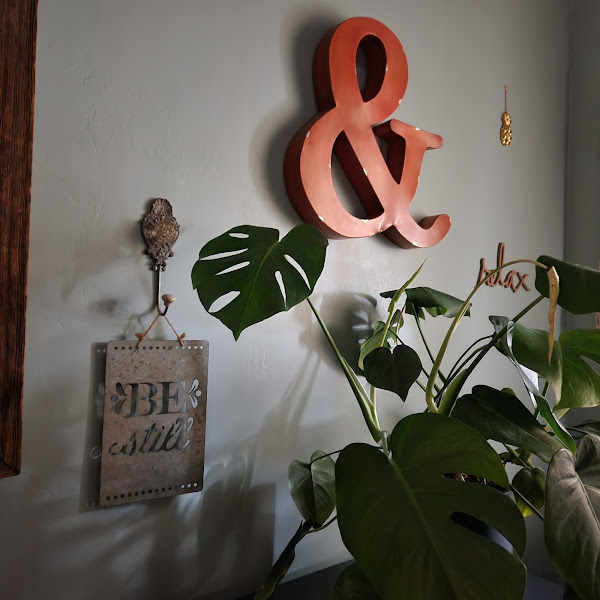 The Skin Care Studio 3