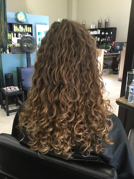 Salon Tii Gavo 3