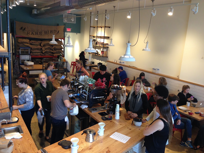 Rare Bird Coffee Roasters 2