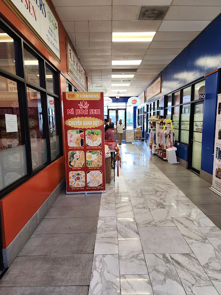 MI HOA SEN 2