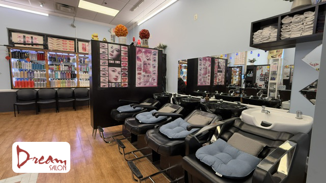 Dream Salon 5