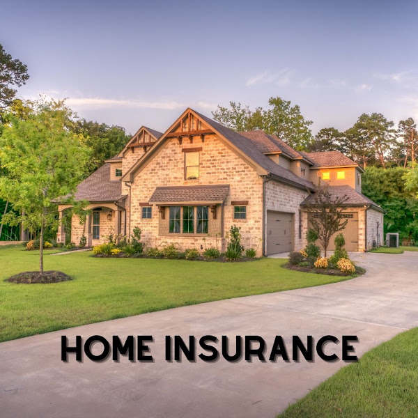 Patron Insurance 4