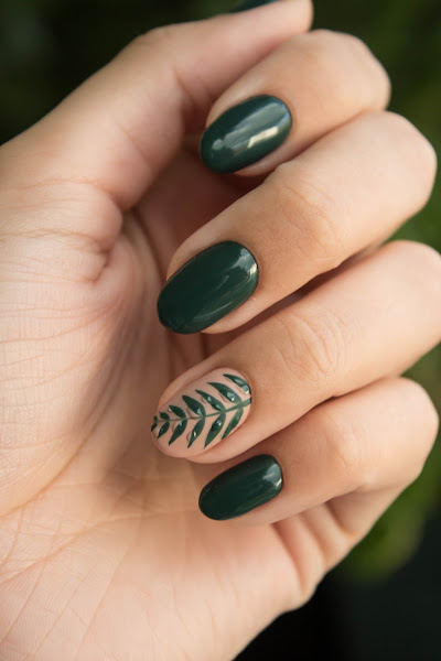 Maxim Nails Day Spa