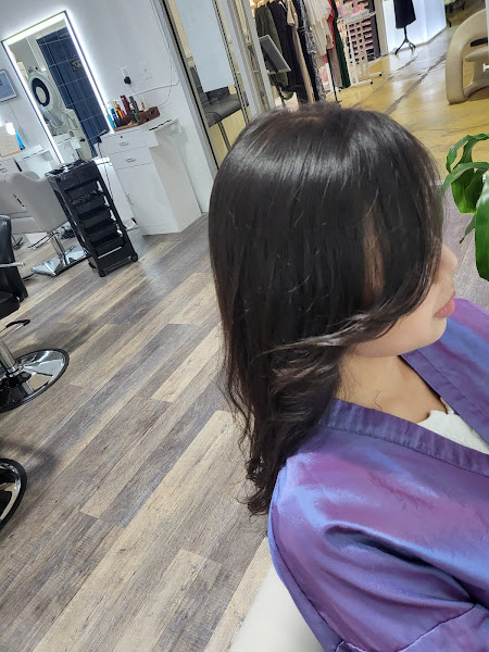 Salon Ombre 5