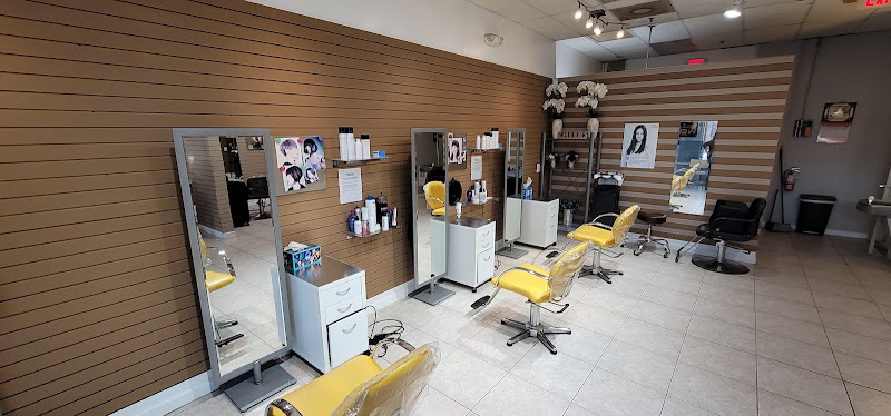 T J Hair Station 4