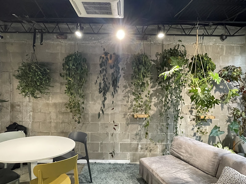 Alchemy Hair Salon 4