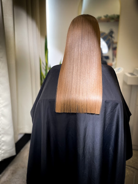 The Hair Surgeon 2