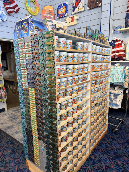 Lake Buena Vista Gift Shop 3