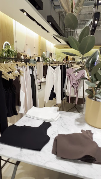 Aritzia 3