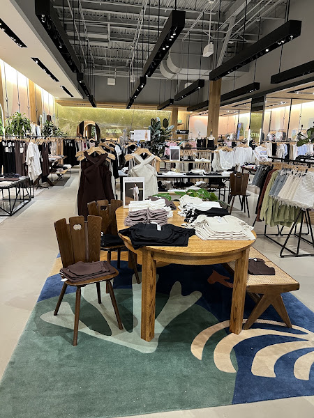 Aritzia 4