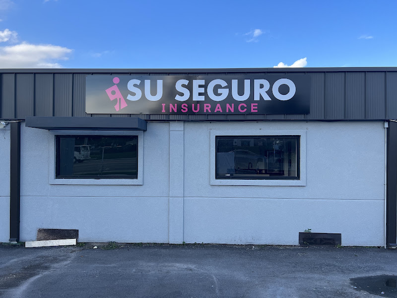 Su Seguro Insurance 4