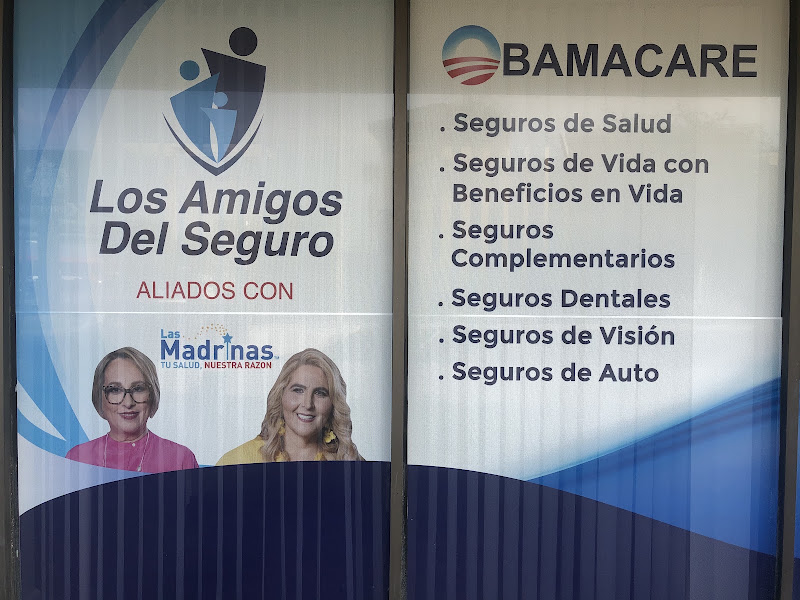 los amigos del seguro 4