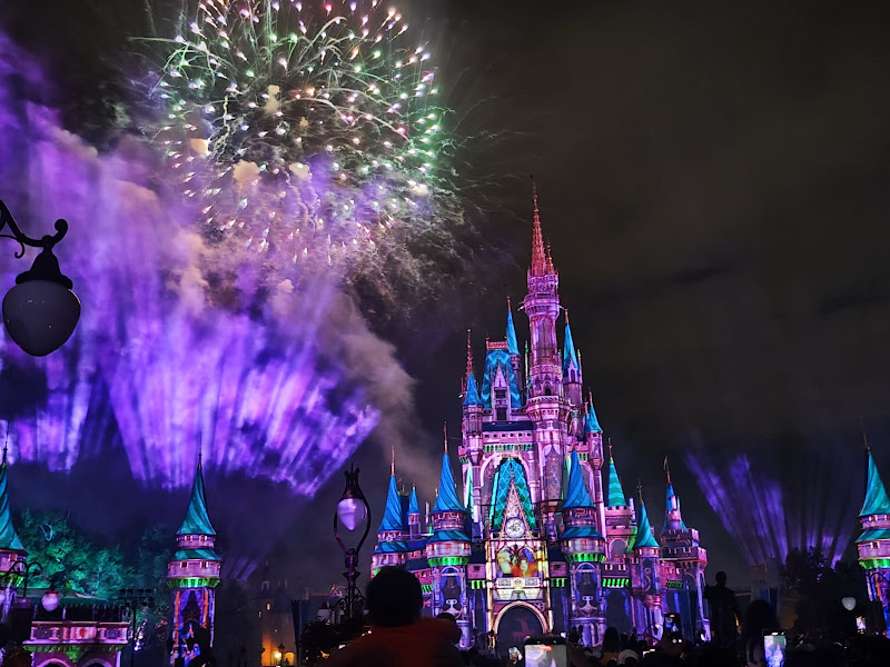 Viva Orlando Travel Agency 4