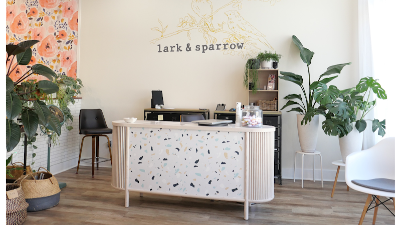 lark & sparrow 2