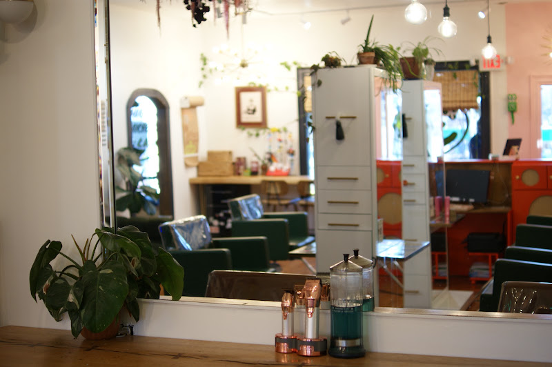 Forté Salon 5