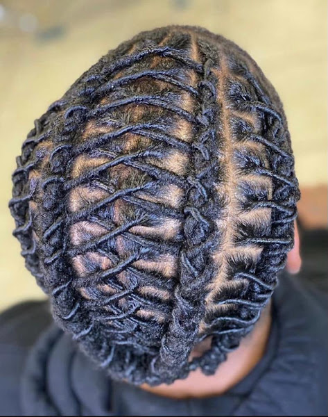 Beautiful Dollhouse Salon - Locs & Hairstylist, Ponytails 4
