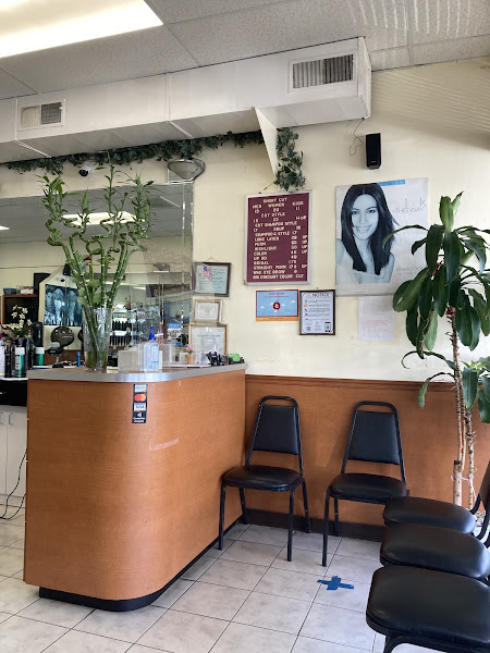 Julies Hair Salon 3