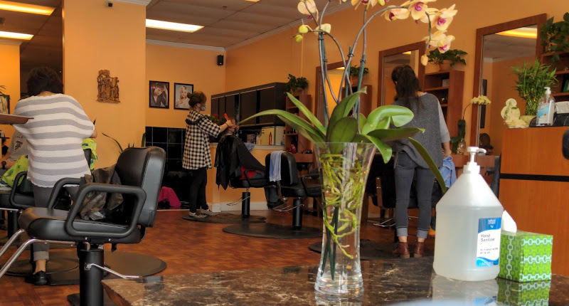 Hair Dreams Salon 2