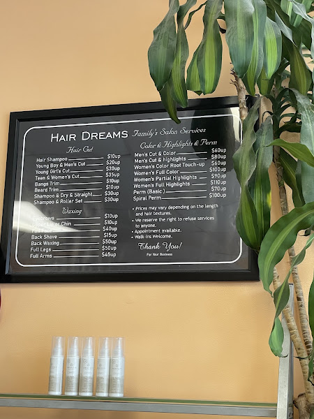 Hair Dreams Salon 4