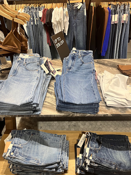 Aritzia 4