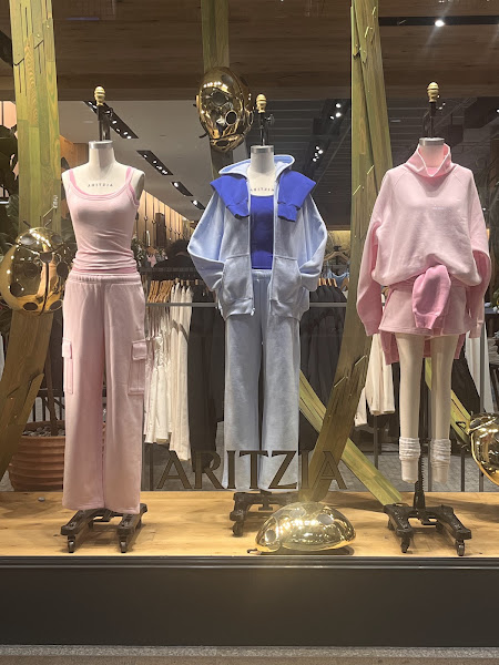 Aritzia 5