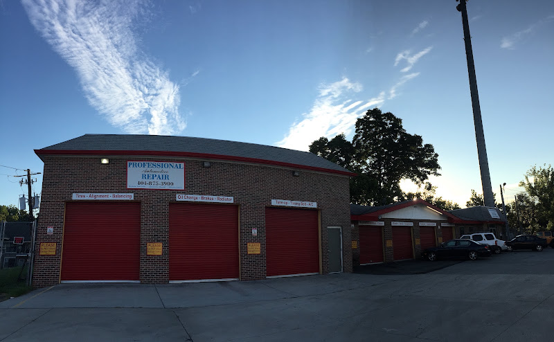 Professional Automotive Repair 4