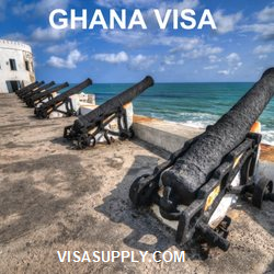 Visa Supply 4
