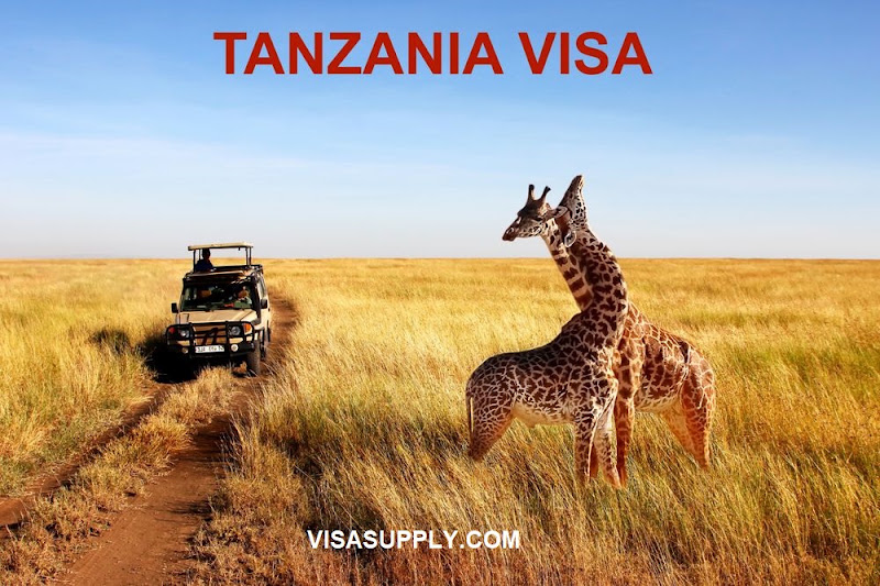 Visa Supply 5