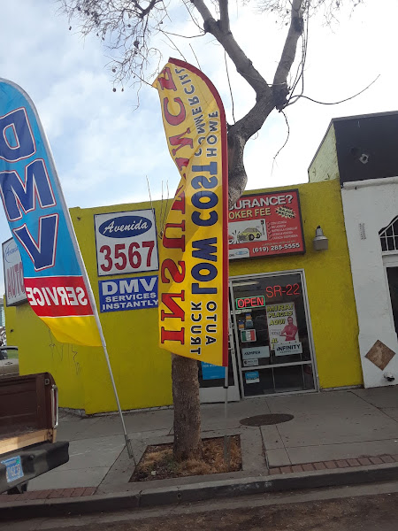 Avenida Insurance 2