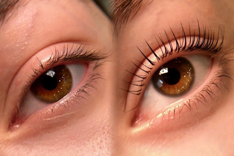 Beauty Therapy Lash and Brow Studio