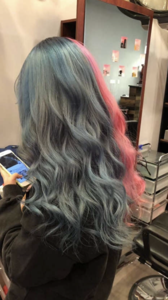 Famous Hair Salon 2