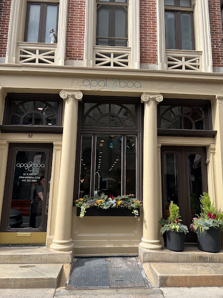 Opal & Boa | Hair Salon & Beauty Salon Philadelphia 4