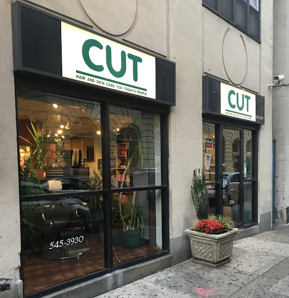 Cut Hair Salon 2