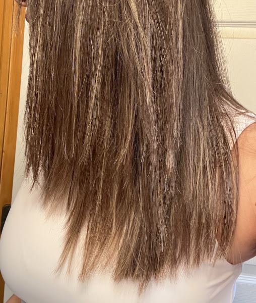 Wild Honey Salon 3