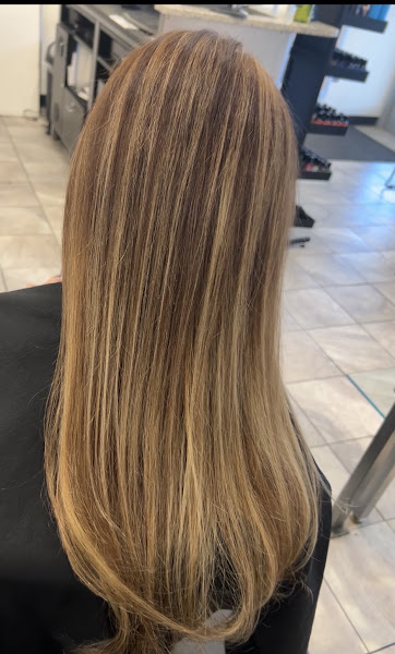 Ava Karl Salon