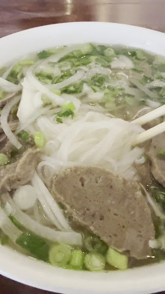 Mr PANDA & PHO 3