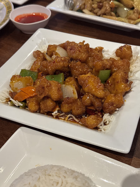Mr PANDA & PHO 5