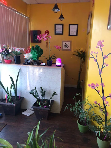 Spring Spa Massage 4