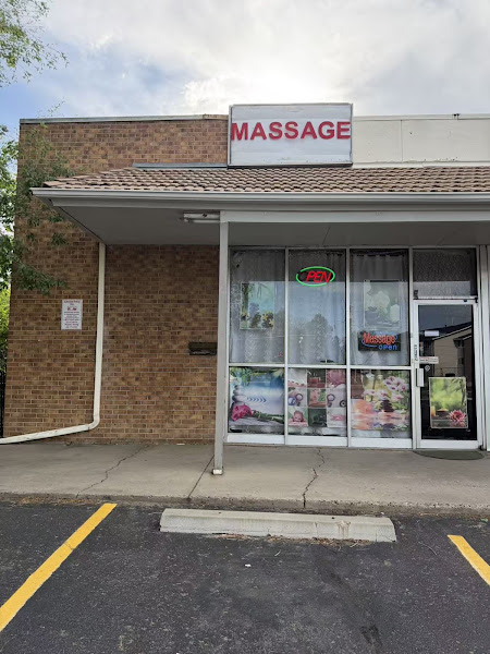 Sunflowers Massage 3