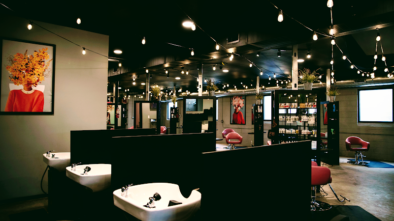 Color House Denver ✂