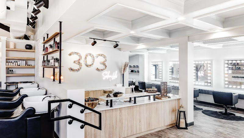 303 Salon Lohi 2