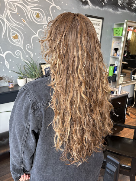 Pangaea Salon 4