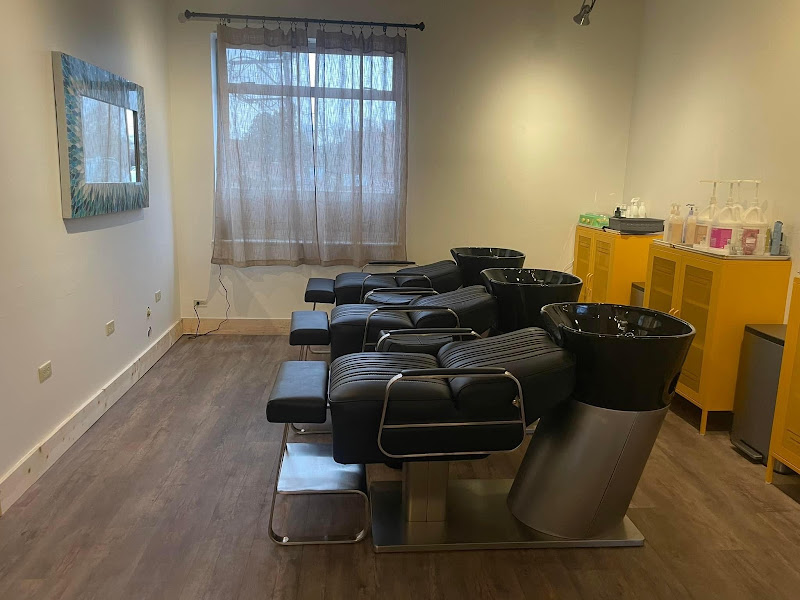 Denver Hair Design 4