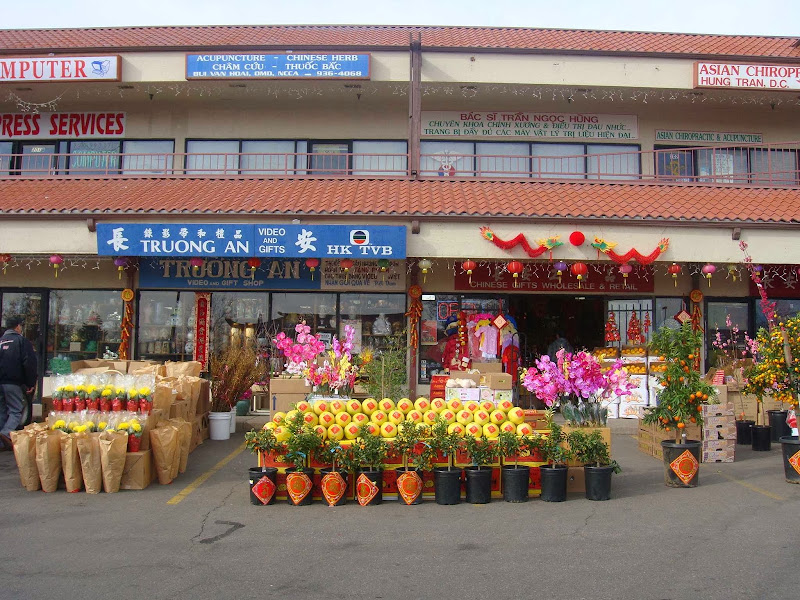 Truong An Inc 2
